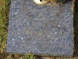 image of grave number 831446